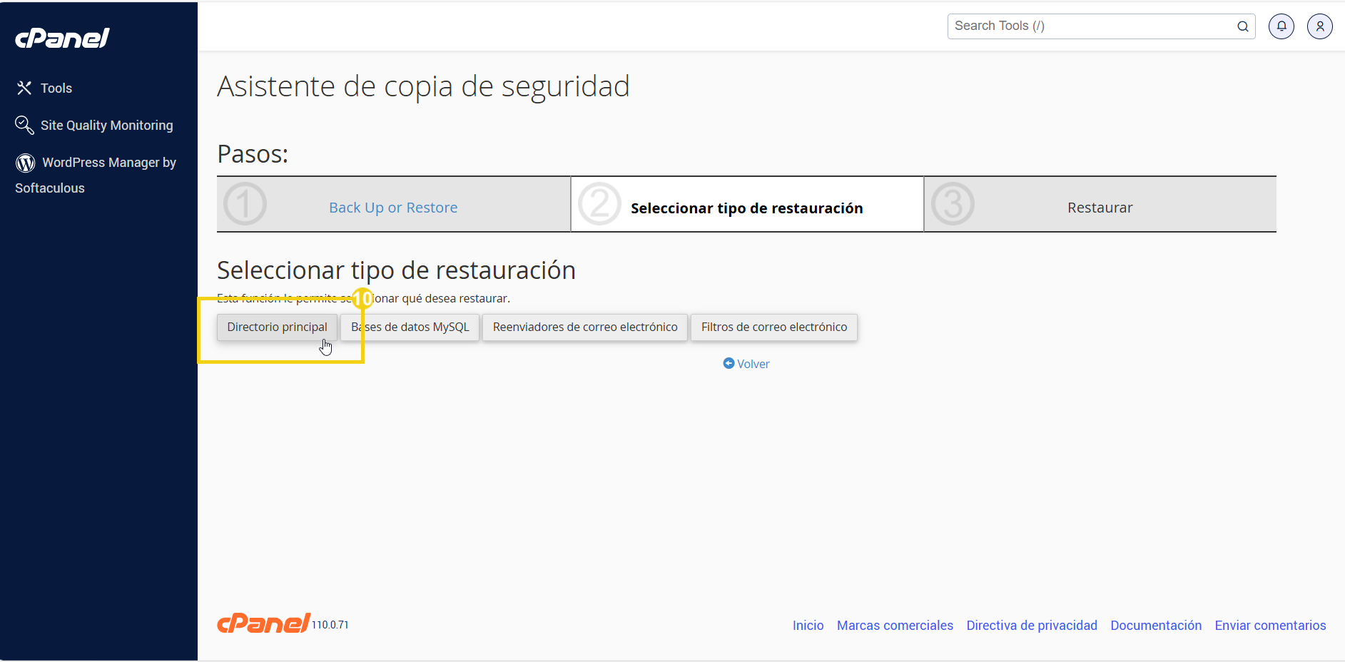 panel-cpanel-restauracion-backup-tipo