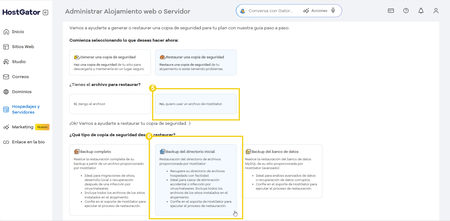 panel-administracion-hospedaje-hostgator