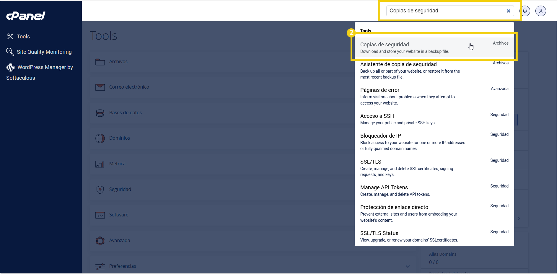pantalla-configuracion-panel-cpanel-busqueda-backup