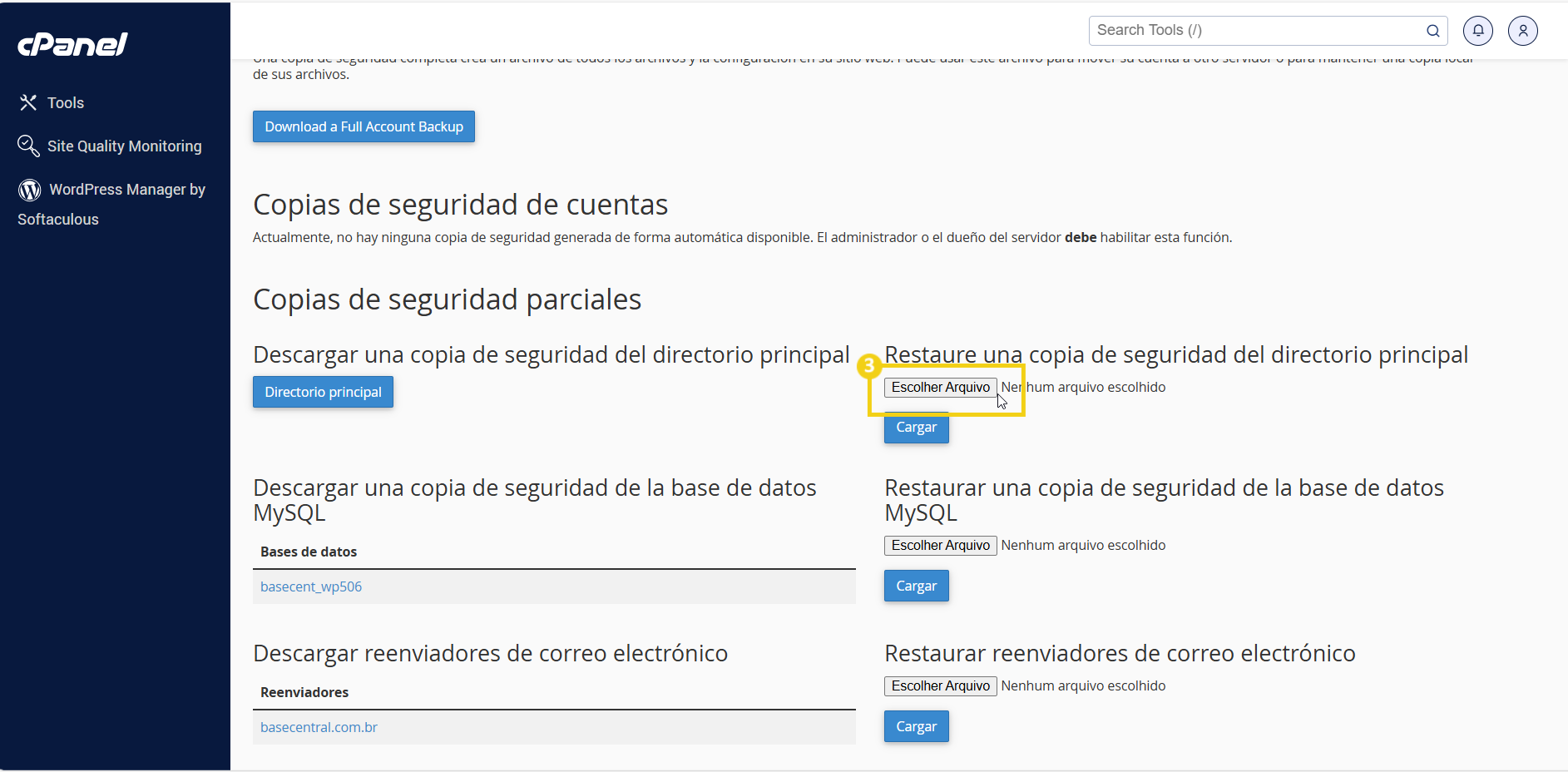 17-panel-cpanel-backup-cuenta-banco-datos.png