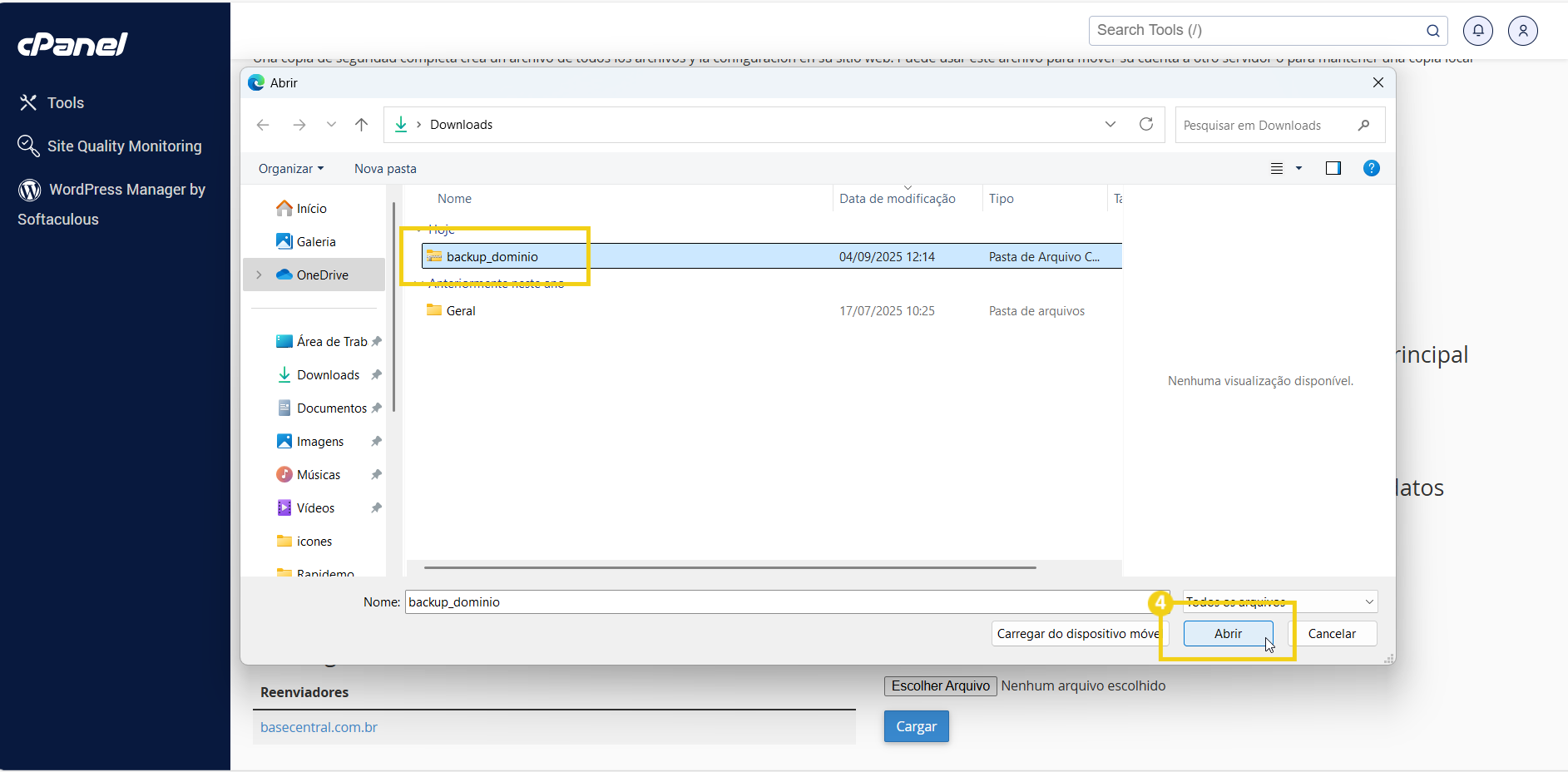 backup-dominio-configuracion-cpanel