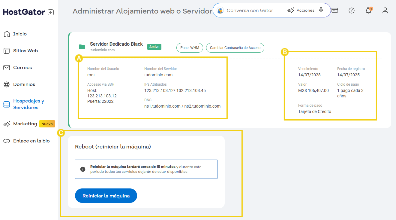 Imagen muestra la área de gestión del servidor Dedicado