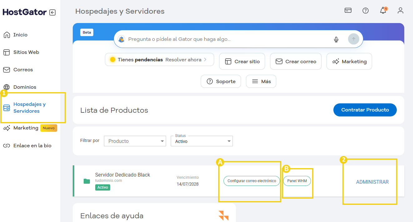 Imagen del Portal del Cliente que muestra el acceso a la sección de "Alojamientos y Servidores" y luego los accesos disponibles para el servidor y gestión