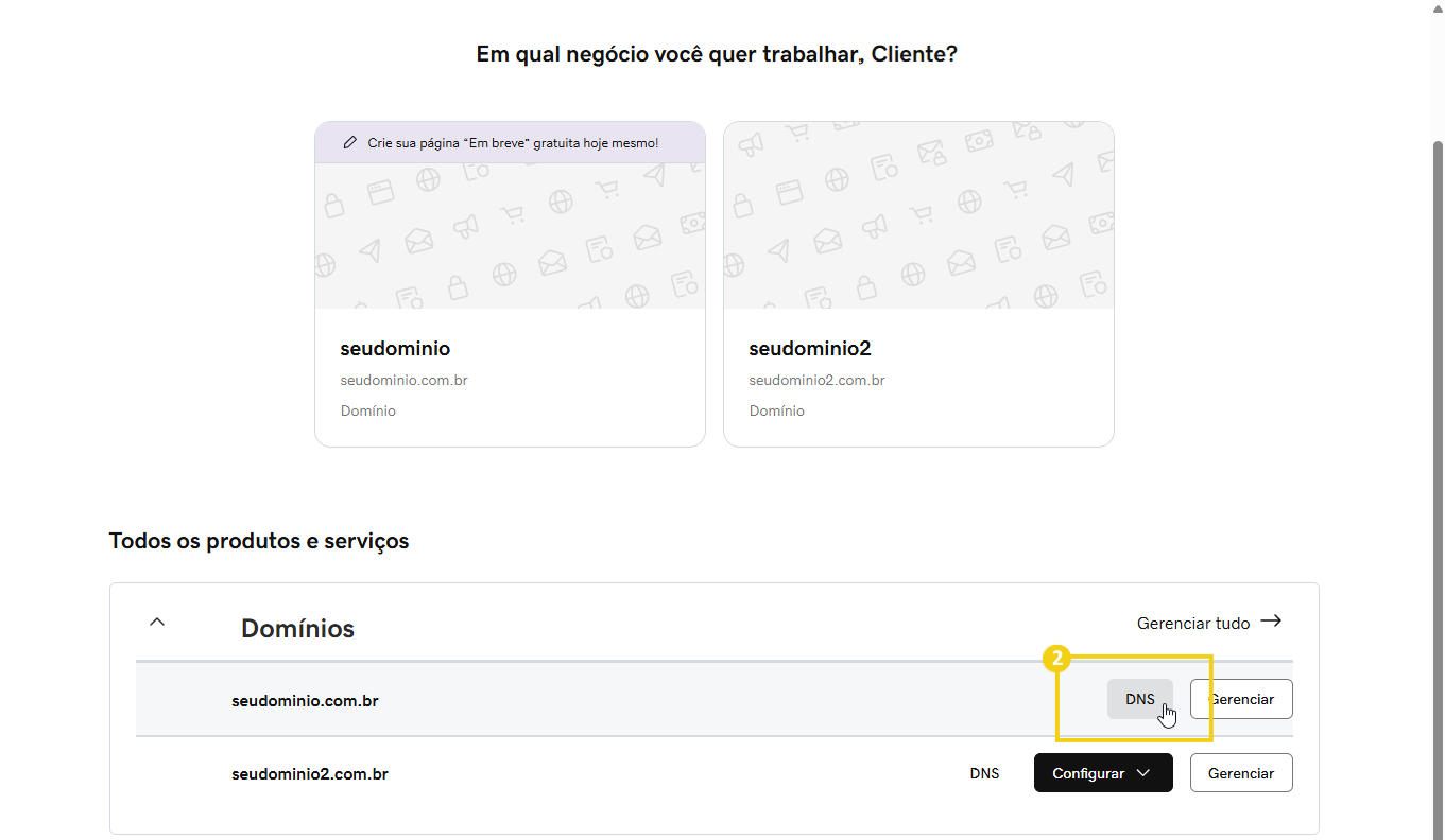 Pantalla con la opción DNS resaltada