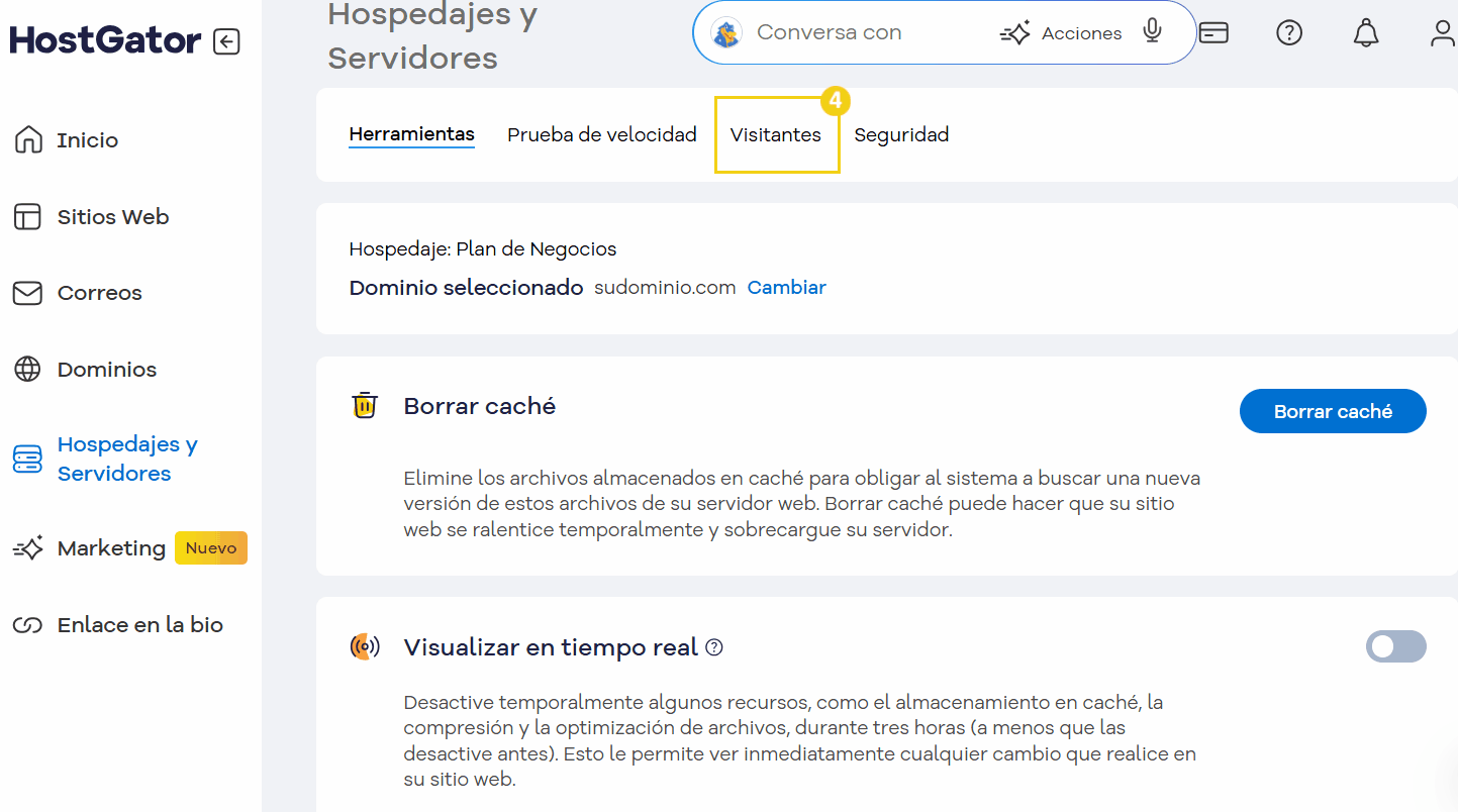 visitantes sitio web dados acceso