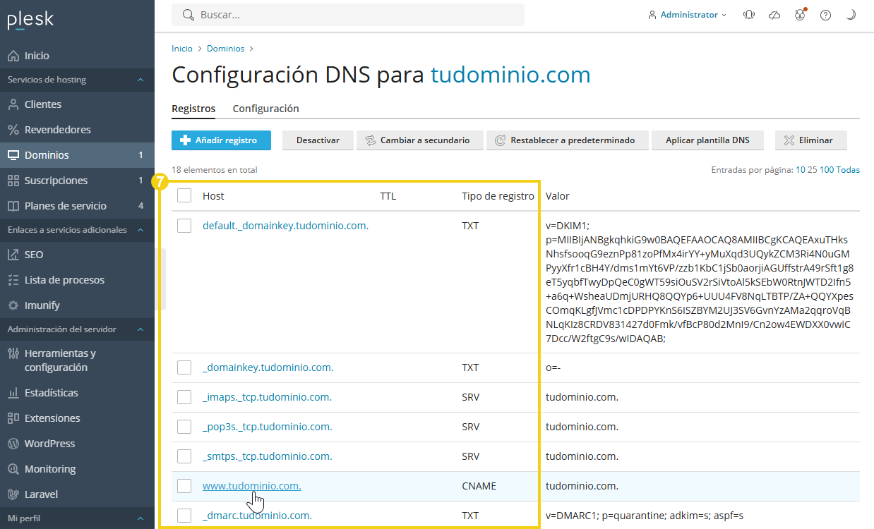 La imagen muestra el panel de Plesk con la marca en la columna "Host" y "Tipo de registro", para que pueda identificar el lugar para hacer clic y acceder al área de edición