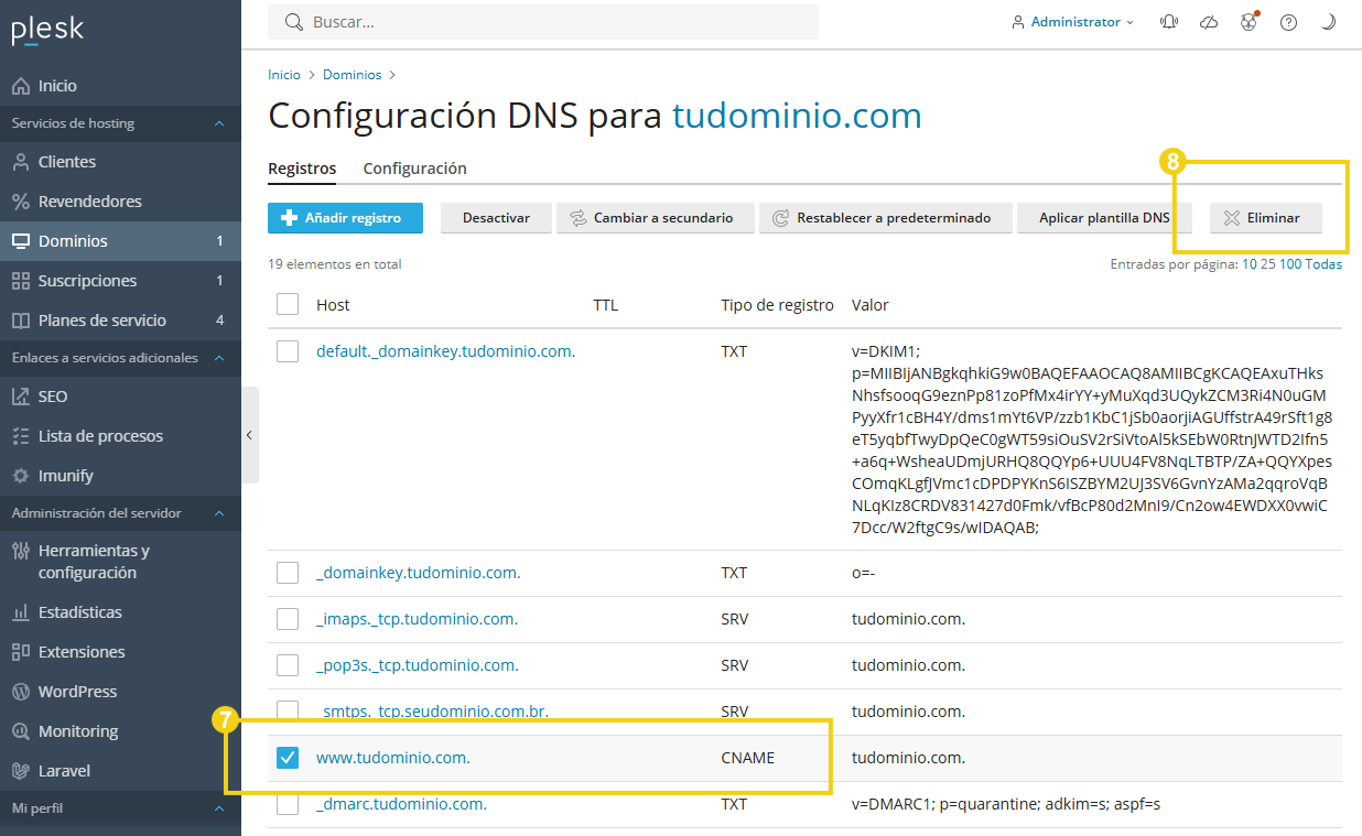 La imagen muestra la pantalla de Plesk con la marca en la casilla de verificación del registro que desea eliminar y luego la marca en el botón "Eliminar"
