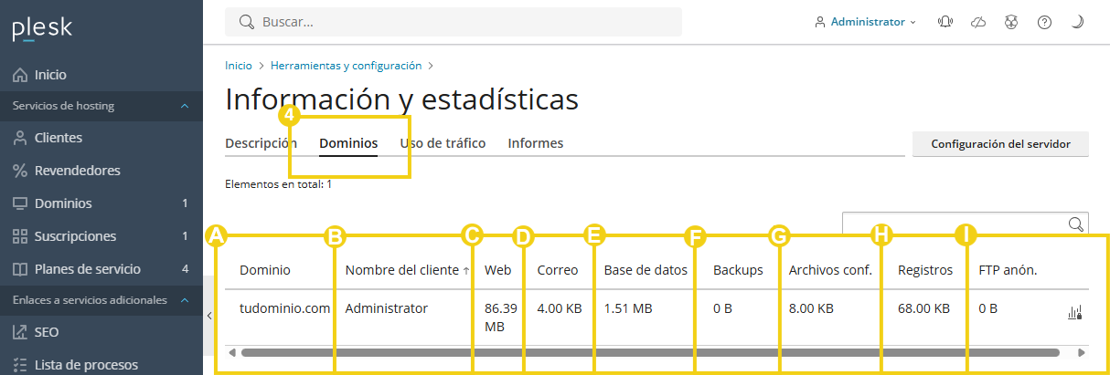 La imagen muestra el panel de Plesk, en la pestaña "Dominios" y los campos informativos