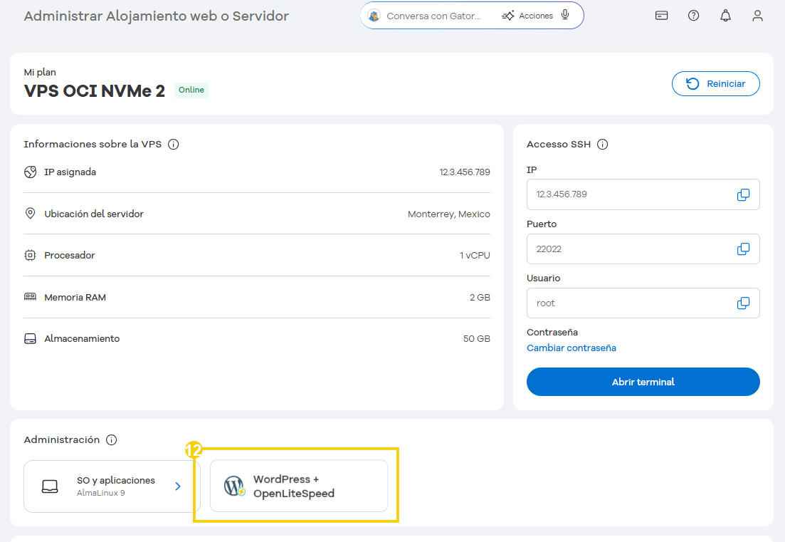 Pantalla de gestión de hospedaje y servidor mostrando aplicación instalada