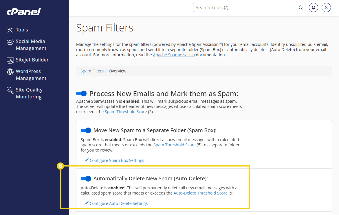 Configuración de filtros de spam en el cPanel, incluyendo opciones para procesar y mover correos electrónicos sospechosos, además de configurar la eliminación automática del spam.