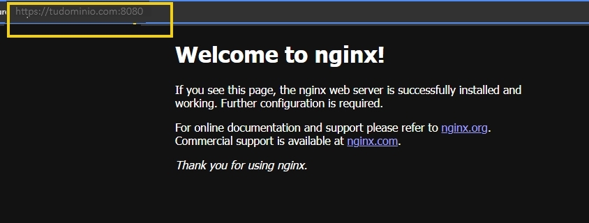 acceso container-0.jpeg