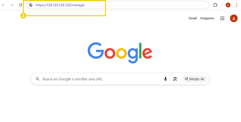 La imagen muestra la pantalla del navegador, donde debe ser insertada la IP del plan VPS más la palabra manager