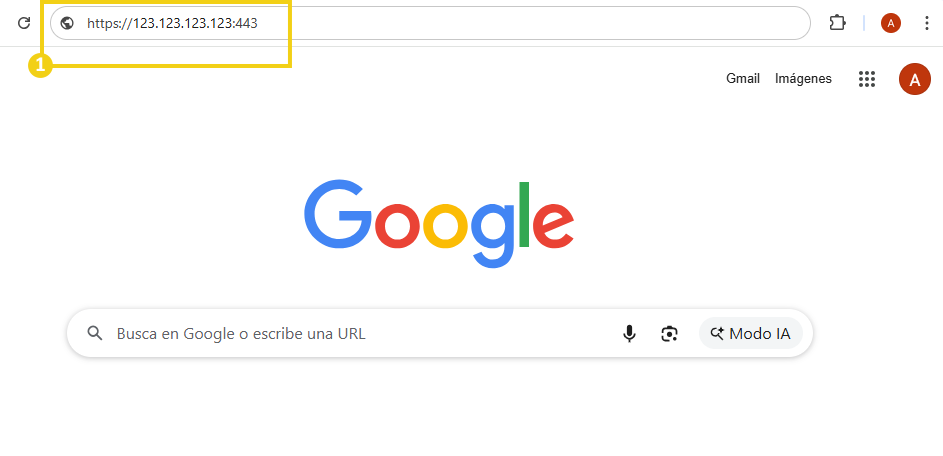 Imagen muestra la pantalla del navegador, donde debe ser insertada la IP del plan VPS más el Puerto que es 443