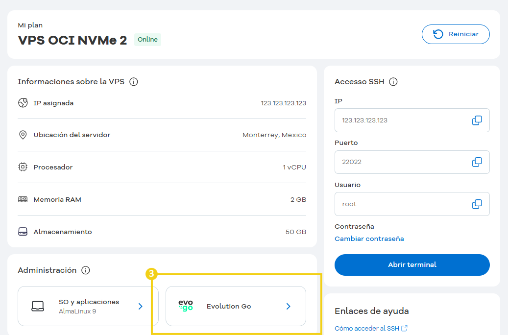 Imagen aún del Portal del Cliente, en el área de administración de la VPS, con marcación en el botón "Evolution Go" para acceso al panel