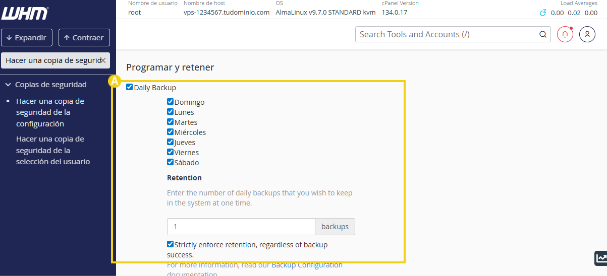 Sección de programación y retención de backups