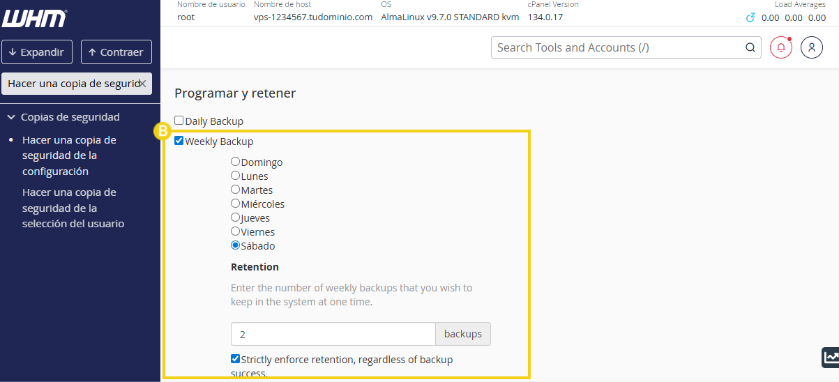 Sección de programación y retención de backups