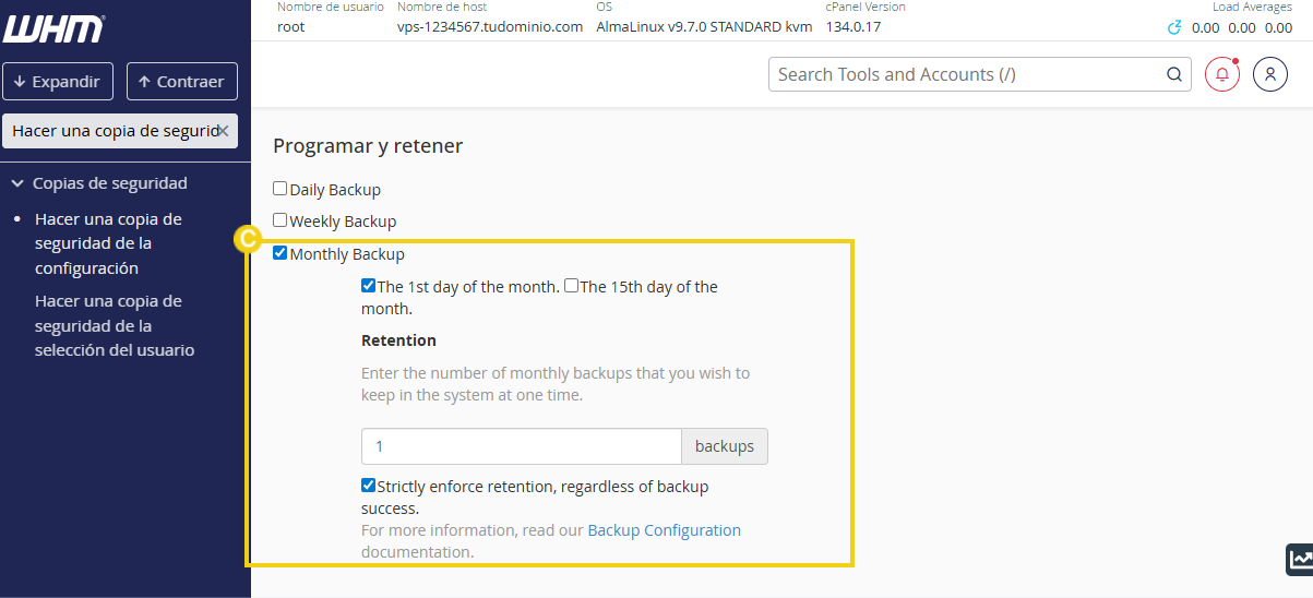 Sección de programación y retención de backups