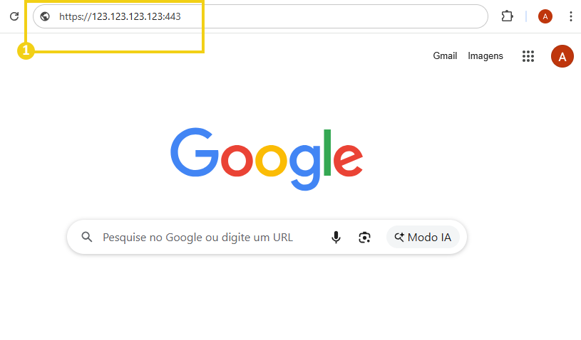 Barra de direcciones con el IP del plan VPS más el puerto 443 ingresado