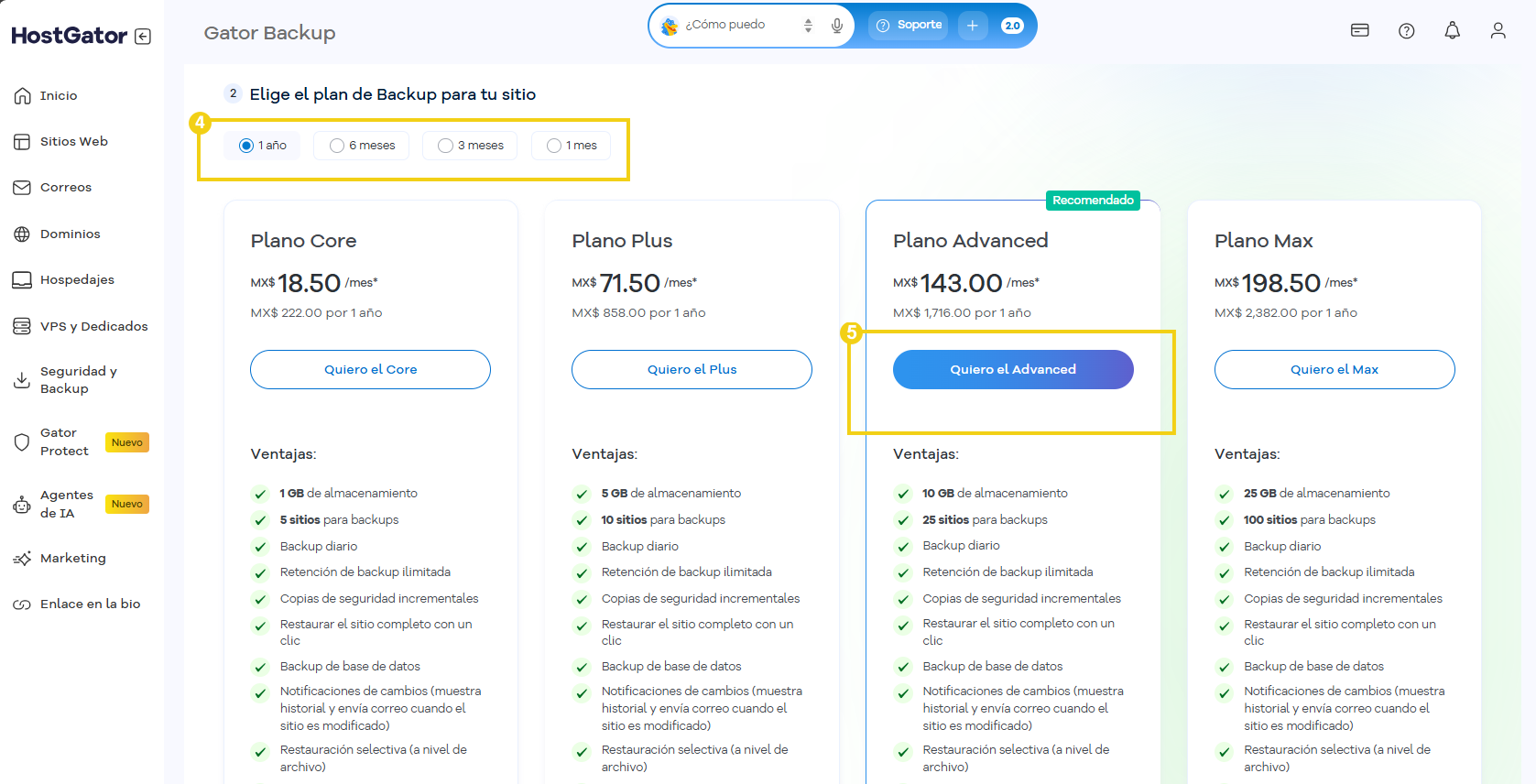 Gator Backup — pantalla de contratación con las opciones de ciclo de pago y los planes disponibles resaltados