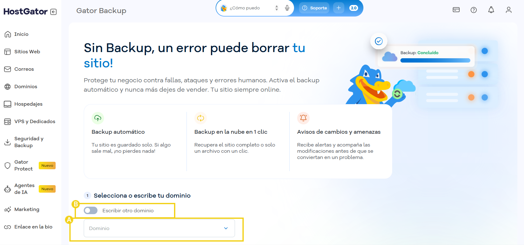 Pantalla de contratación con el campo Dominio y la opción Ingresar otro dominio resaltados