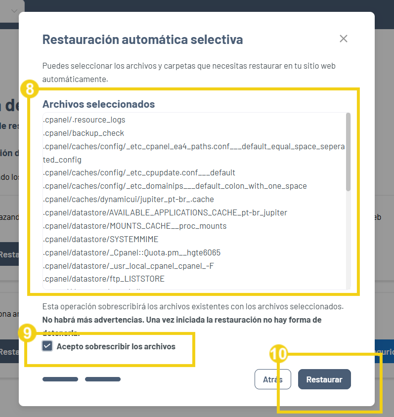 Gator Backup — pantalla de confirmación con la lista de archivos, la casilla de verificación y el botón Restaurar en destaque