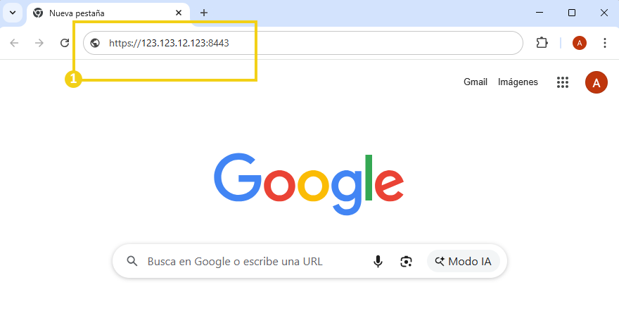 Navegador con IP del servidor y puerto 8443 ingresados