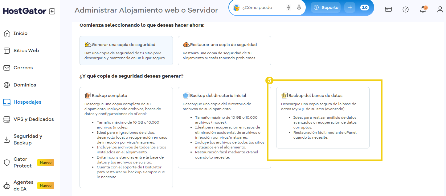 Imagen del portal del cliente, donde se destaca la opción de copia de seguridad de la base de datos.