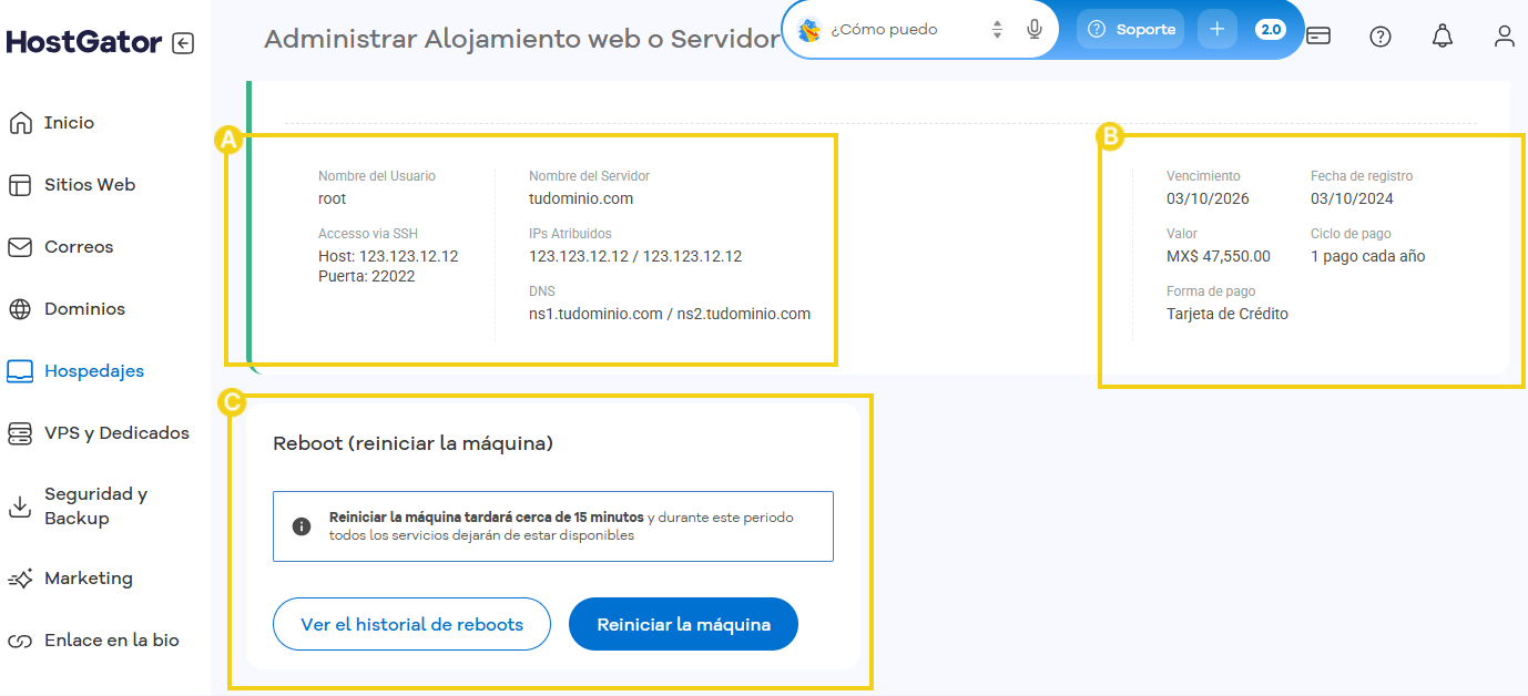 Imagen muestra la área de gestión del servidor Dedicado