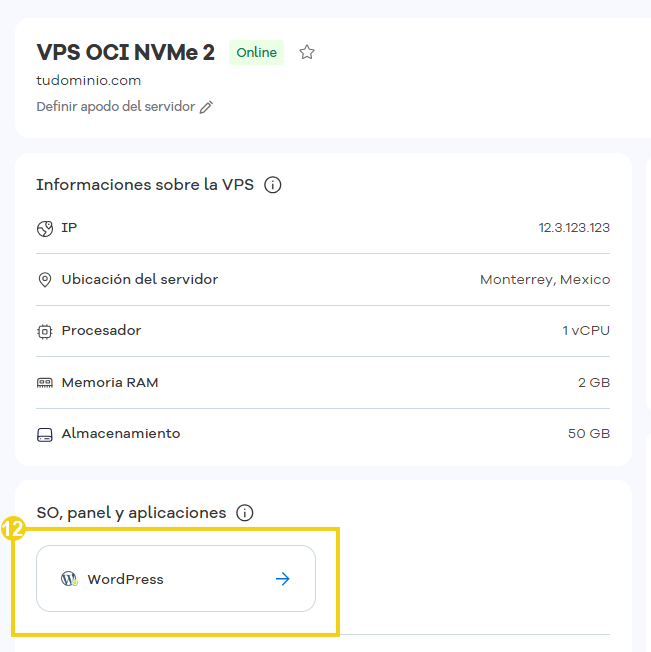 Pantalla de gestión de hospedaje y servidor mostrando aplicación instalada