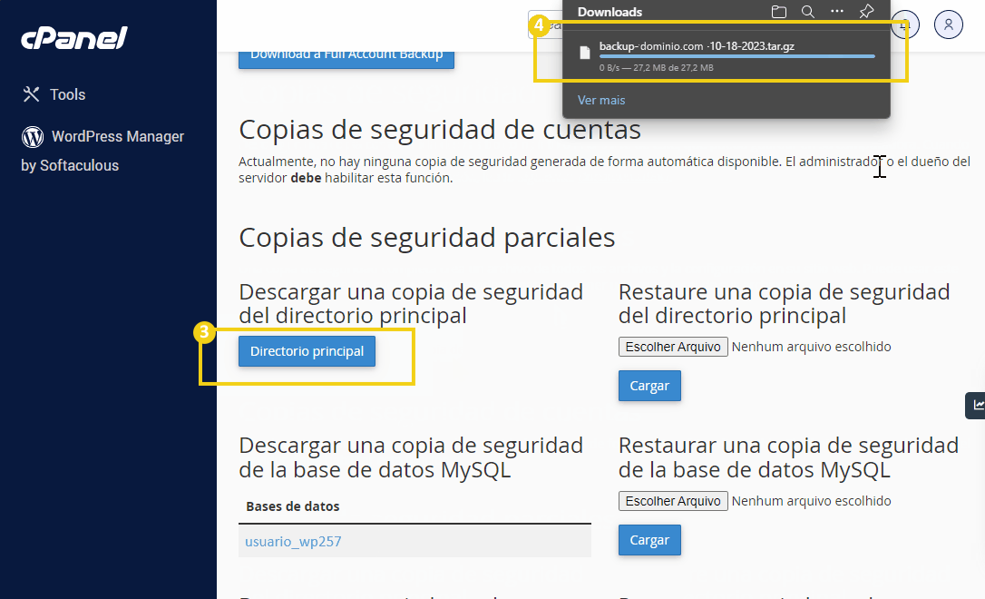 Imagen del panel cPanel en la web de gestión de copia de seguridad, se puede ver el botón "directorio principal" y ventana emergente de descarga