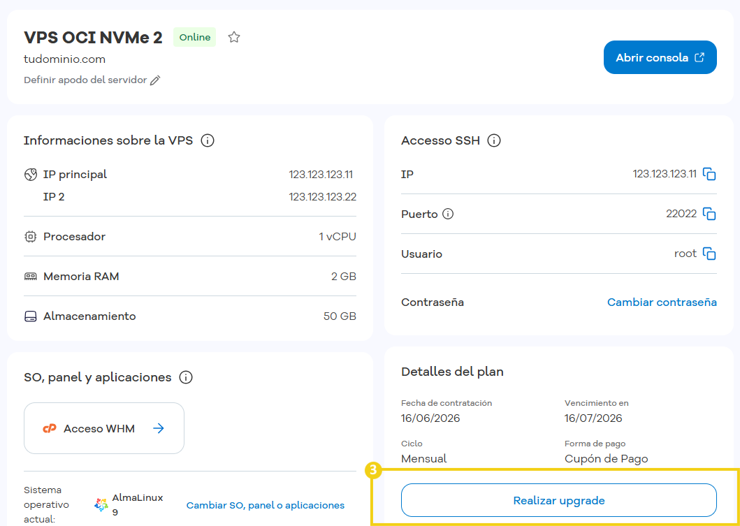 Panel de gestión del plan VPS — sección Detalles del plan con el botón Hacer upgrade en destaque