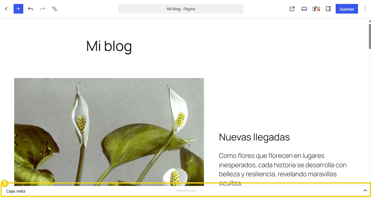 Sección "Cajas de metadatos" en destaque en la edición de una página de WordPress