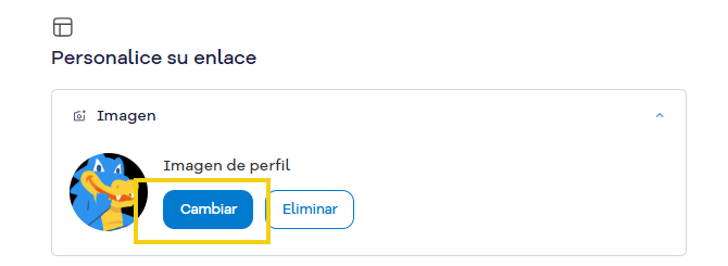 Imagen muestra la sección para cambiar la imagen del Enlace en la Bio