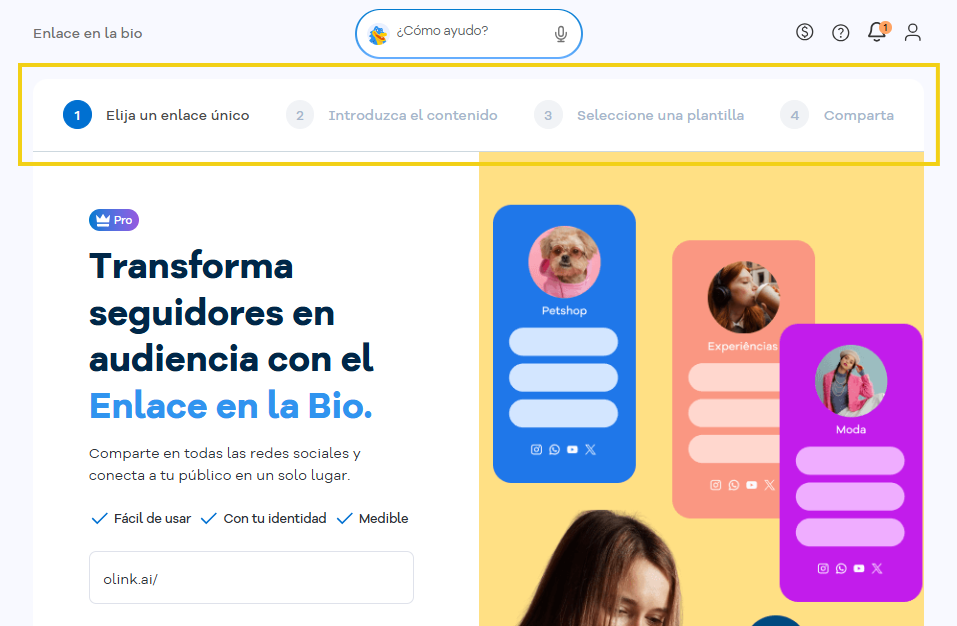 Imagen de la pantalla del Portal del Cliente mostrando las cuatro etapas que se exhiben para la configuración