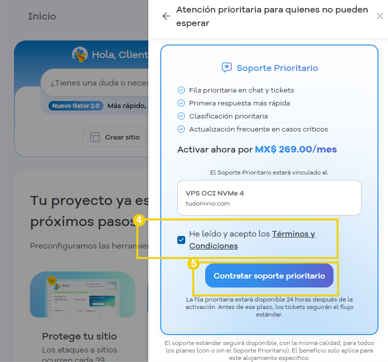 Portal del Cliente — pantalla de atención prioritaria con la casilla de Términos y Condiciones destacada